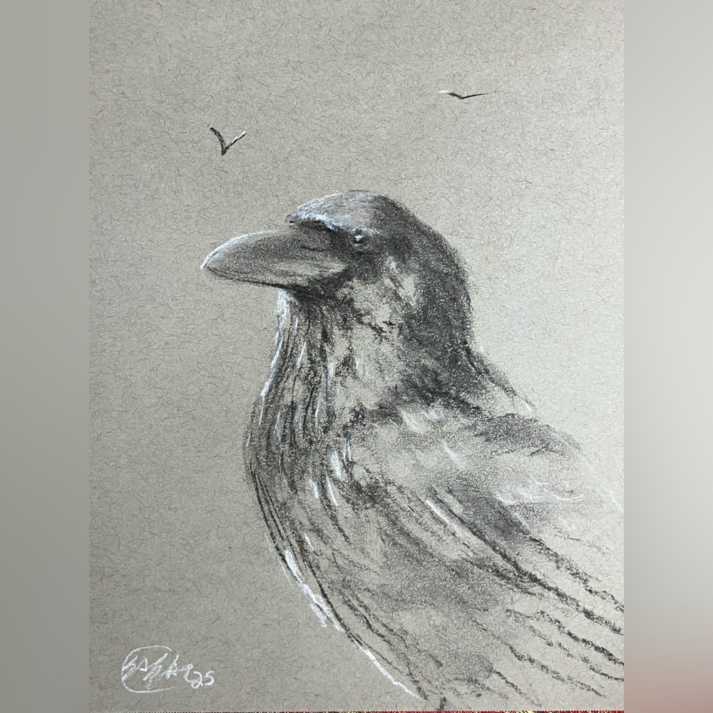 Original Raven crow painting charcoal‎ pastel bird art new home decor Artettina